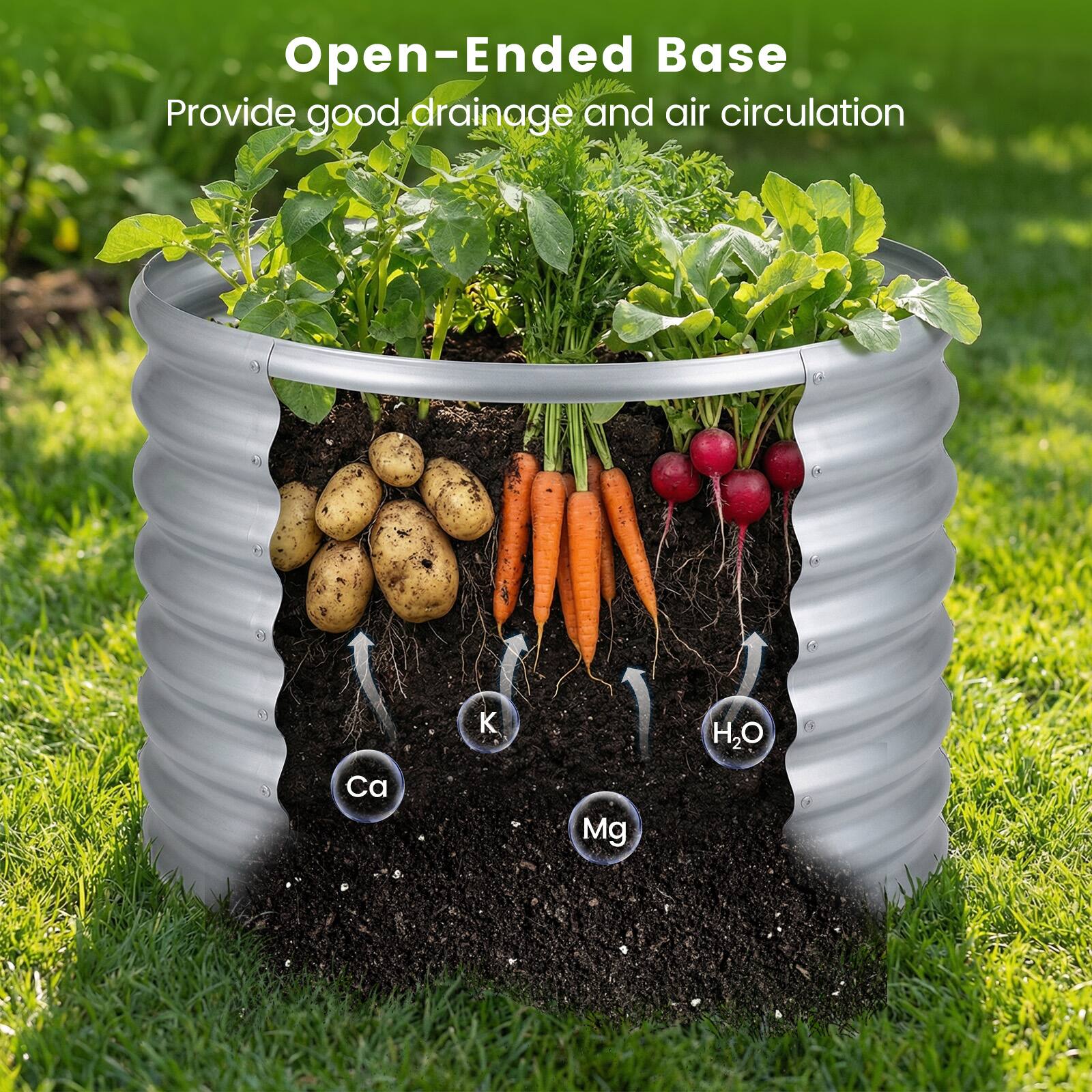 Open-Ended Base  
Provide good drainage and air circulation  

K  
Ca  
Mg  
H₂O