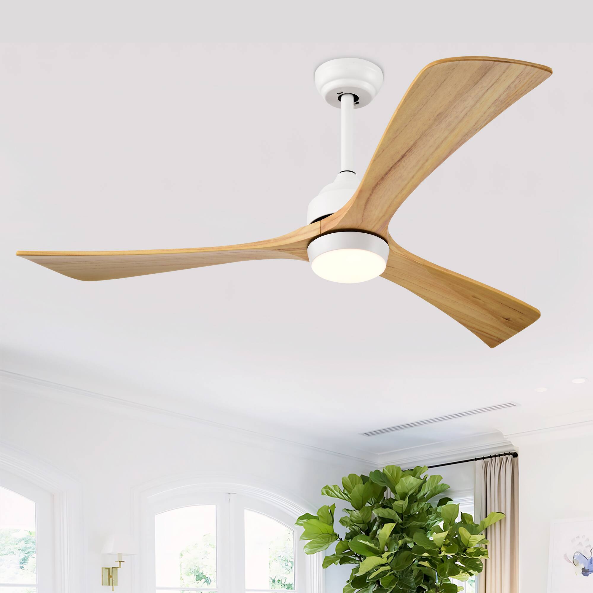 Angle. Loheer - Loheer 52 Inch Ceiling Fan with Light, Solid Wood 3 Blade Ceiling Fan, Quiet DC Motor Reversible Remote Control, White.