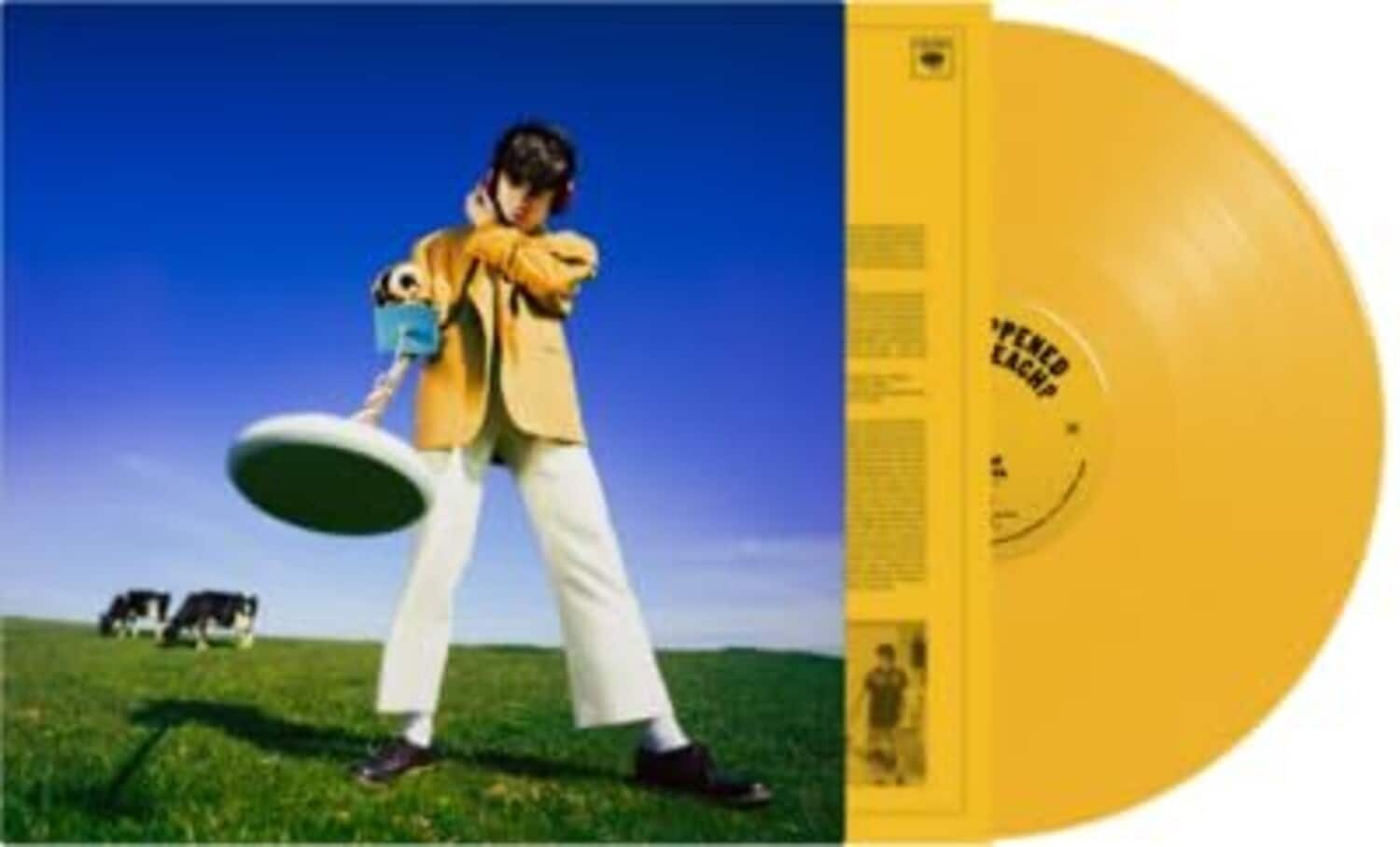 Declan McKenna - What Happened To The Beach?  - VINYL LP