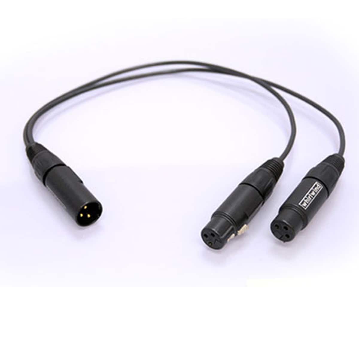 Whirlwind - 1.5' XLR Male to 2 XLR Female Y Adapter Cable