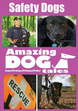 Amazing Dog Tales - Safety Dogs - DVD