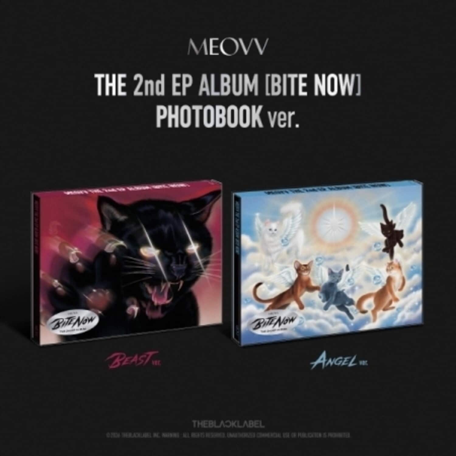 MEOVV - Bite Now - Photobook Version   - COMPACT DISCS [CD] price history on PriceWatchPro