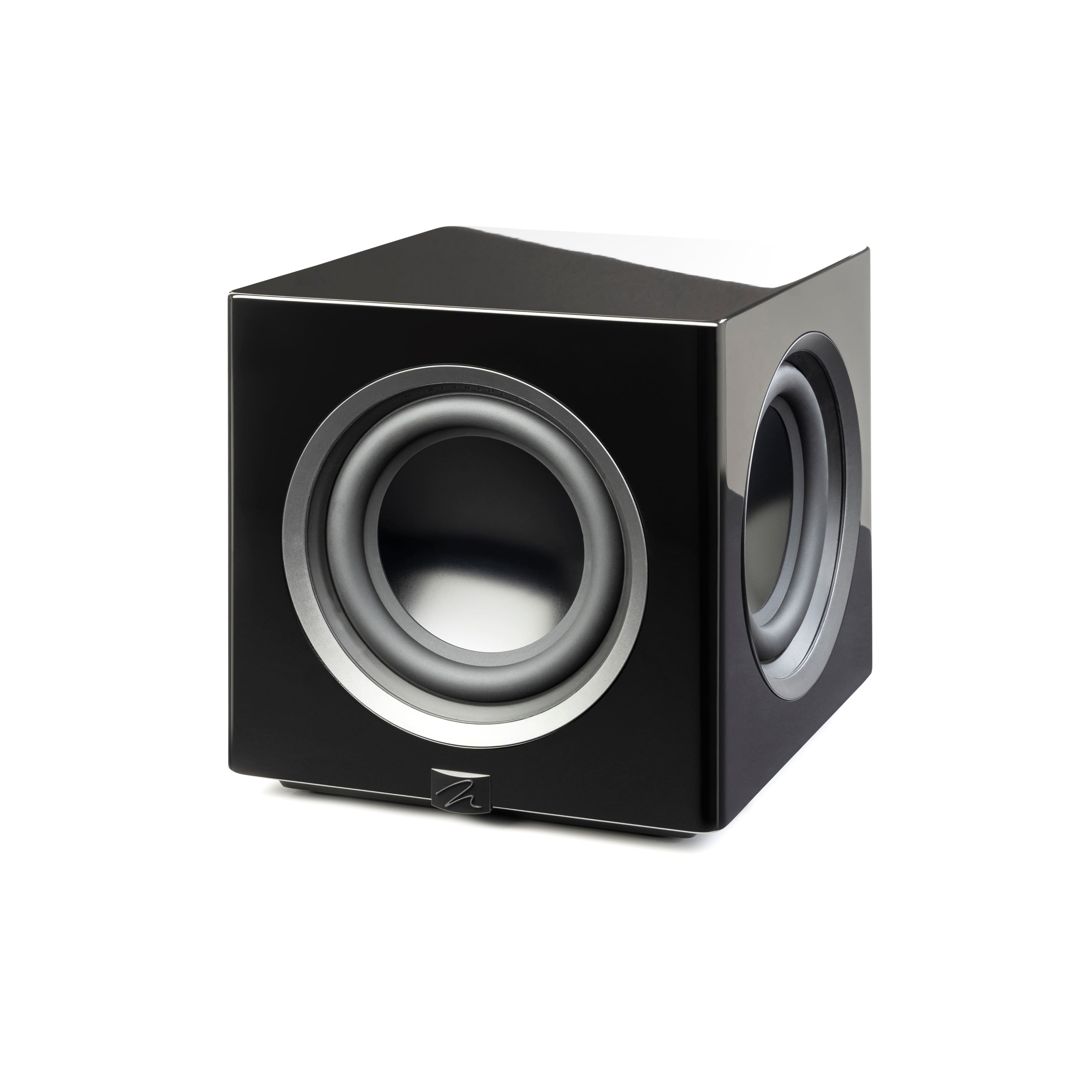 Fashion amplifier woofer speaker