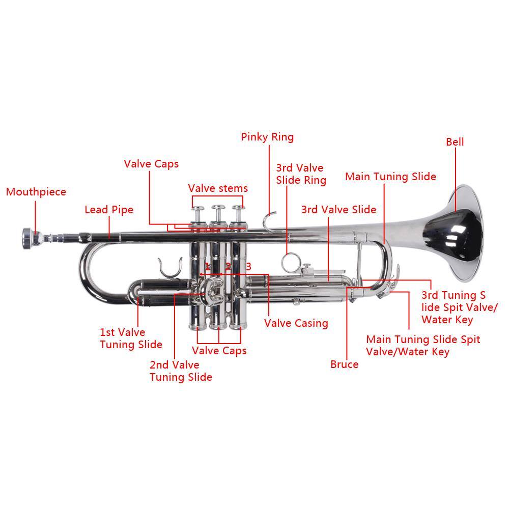 - Pinky Ring
- Bell
- Main Tuning Slide
- 3rd Valve Slide Ring
- 3rd Valve Slide
- 3rd Tuning Slide
- Spit Valve/Water Key
- Main Tuning Slide Spit Valve/Water Key
- Valve Casing
- Bruce
- Valve Caps
- Valve stems
- Lead Pipe
- Mouthpiece
- 1st Valve Tuning Slide
- 2nd Valve Tuning Slide
- Valve Caps