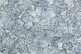 JennAir - 36" Elements Collection Custom Column Panel - Eggshell Snakeskin Sapphire