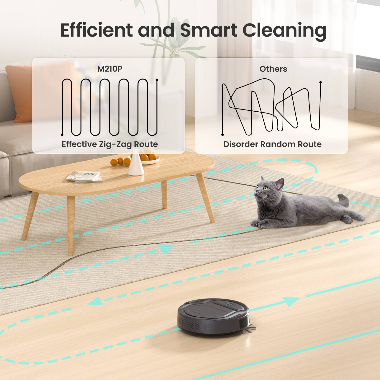 Efficient and Smart Cleaning

M210P
Effective Zig-Zag Route

Others
Disorder Random Route