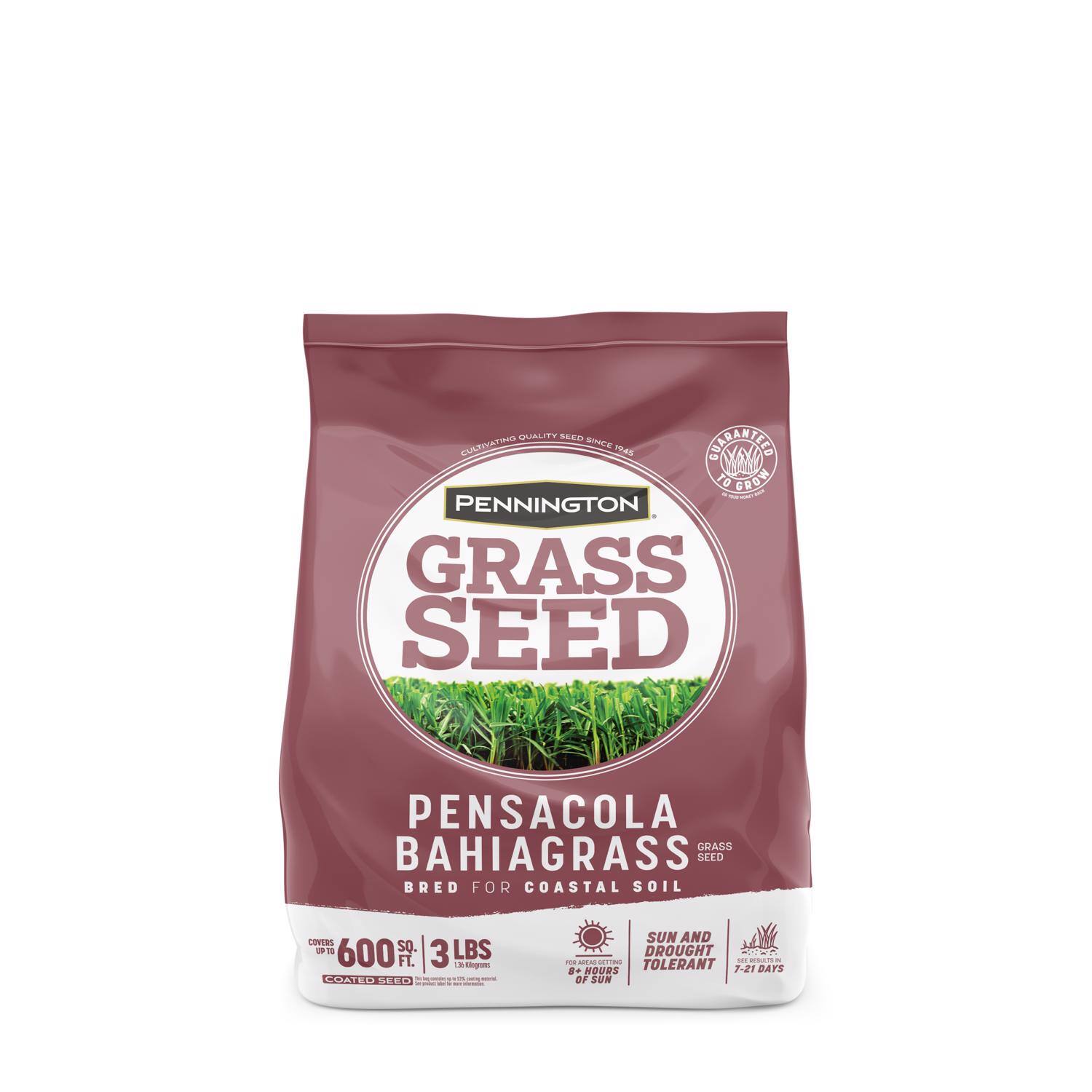 Pennington - Pensacola Bahiagrass Full Sun Grass Seed 3 lb price history on PriceWatchPro