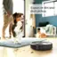 Expert at dirt and dust pickup. 2 Hobot Roomba.