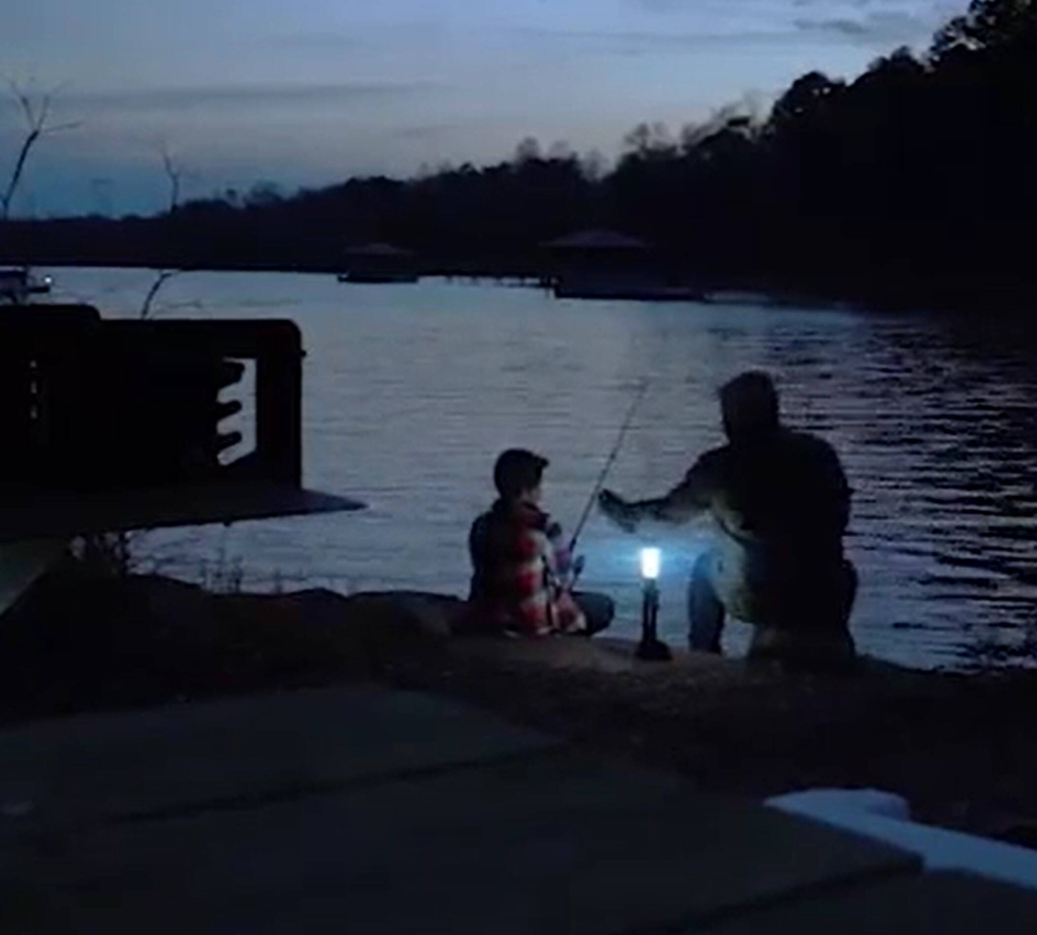 Alt View 1. WORX - 20V Power Share Multi-Function LED Flashlight with Battery and Charger.