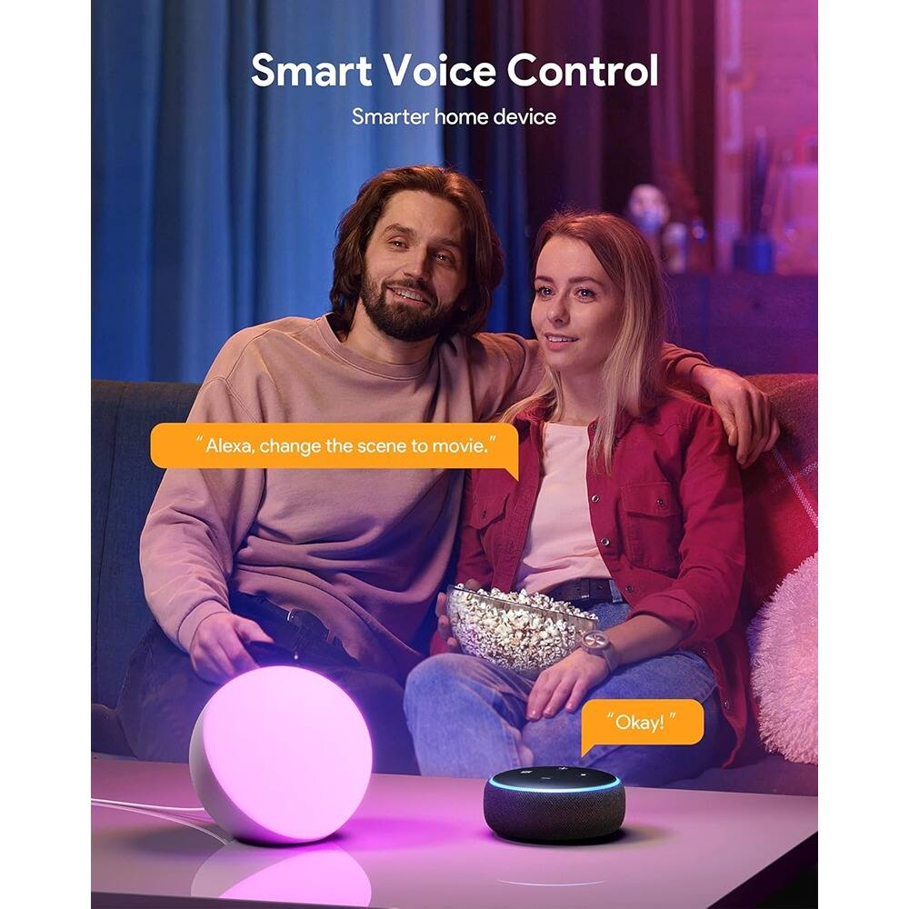 Smart Voice Control  
Smarter home device  

"Alexa, change the scene to movie."  
"Okay!"