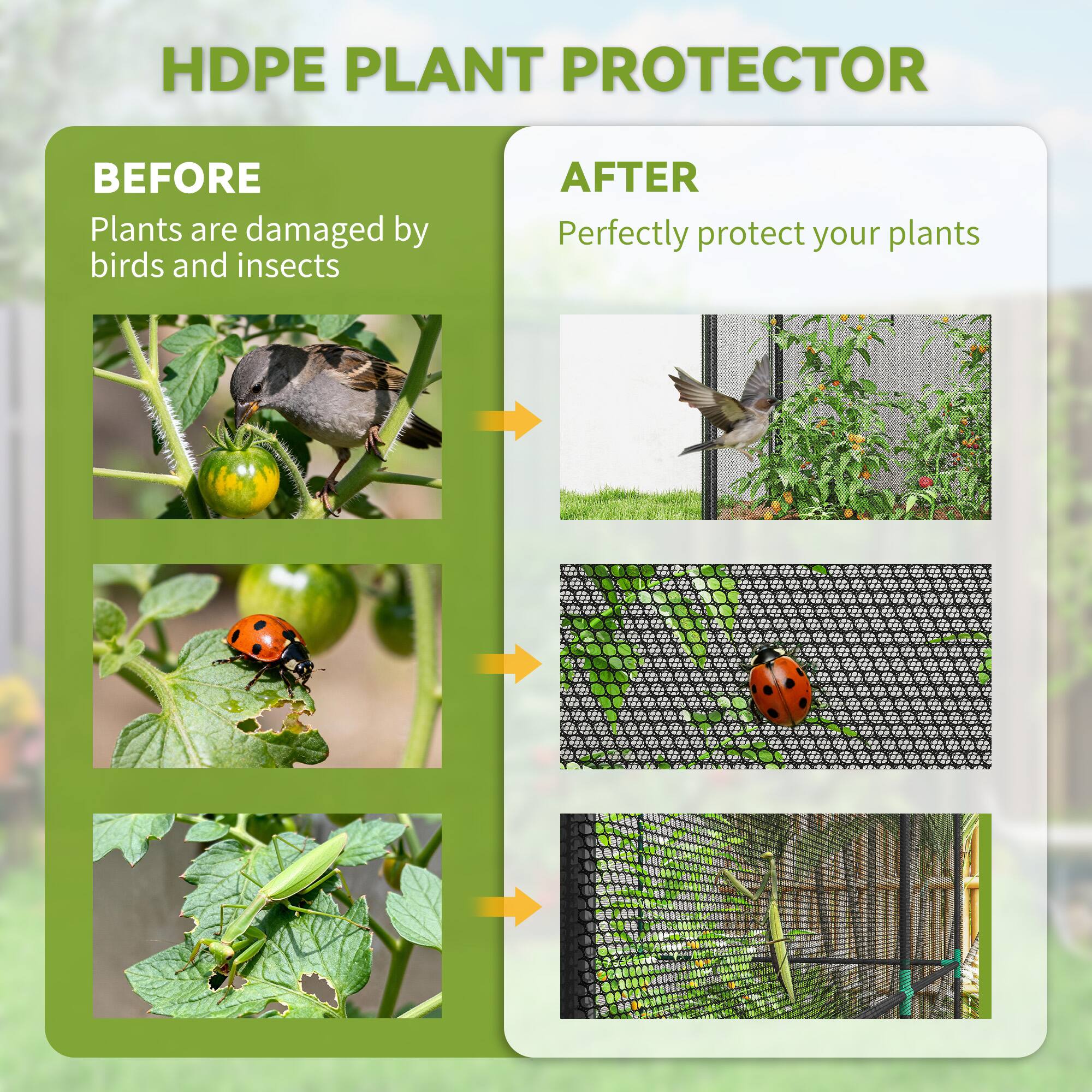 HDPE PLANT PROTECTOR

BEFORE  
Plants are damaged by birds and insects

AFTER  
Perfectly protect your plants
