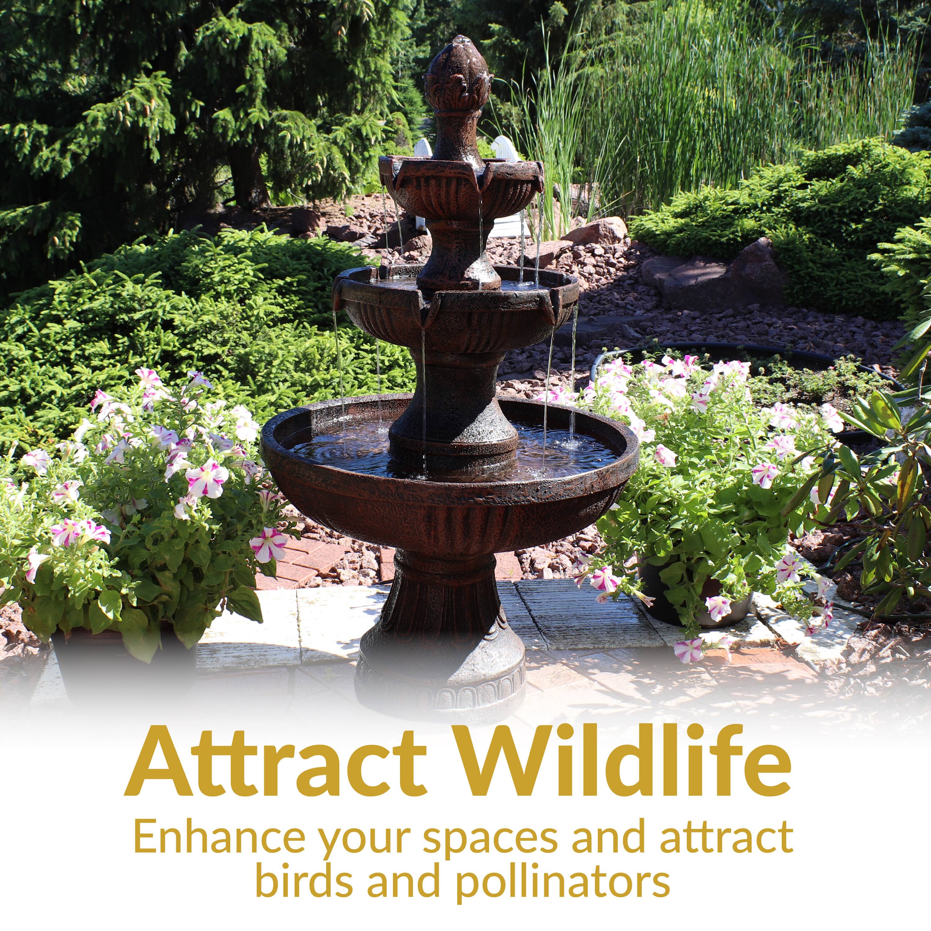 Attract Wildlife  
Enhance your spaces and attract birds and pollinators