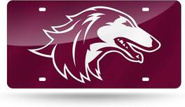 Rico Industries - Southern Illinois Salukis Mirrored Laser Cut License Plate Laser Tag - Multi