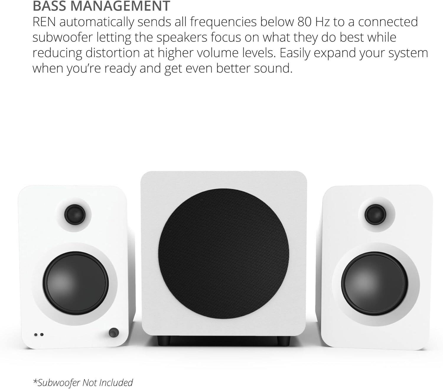 BASS MANAGEMENT

REN automatically sends all frequencies below 80 Hz to a connected subwoofer, letting the speakers focus on what they do best while reducing distortion at higher volume levels. Easily expand your system when you're ready and get even better sound.

*Subwoofer Not Included