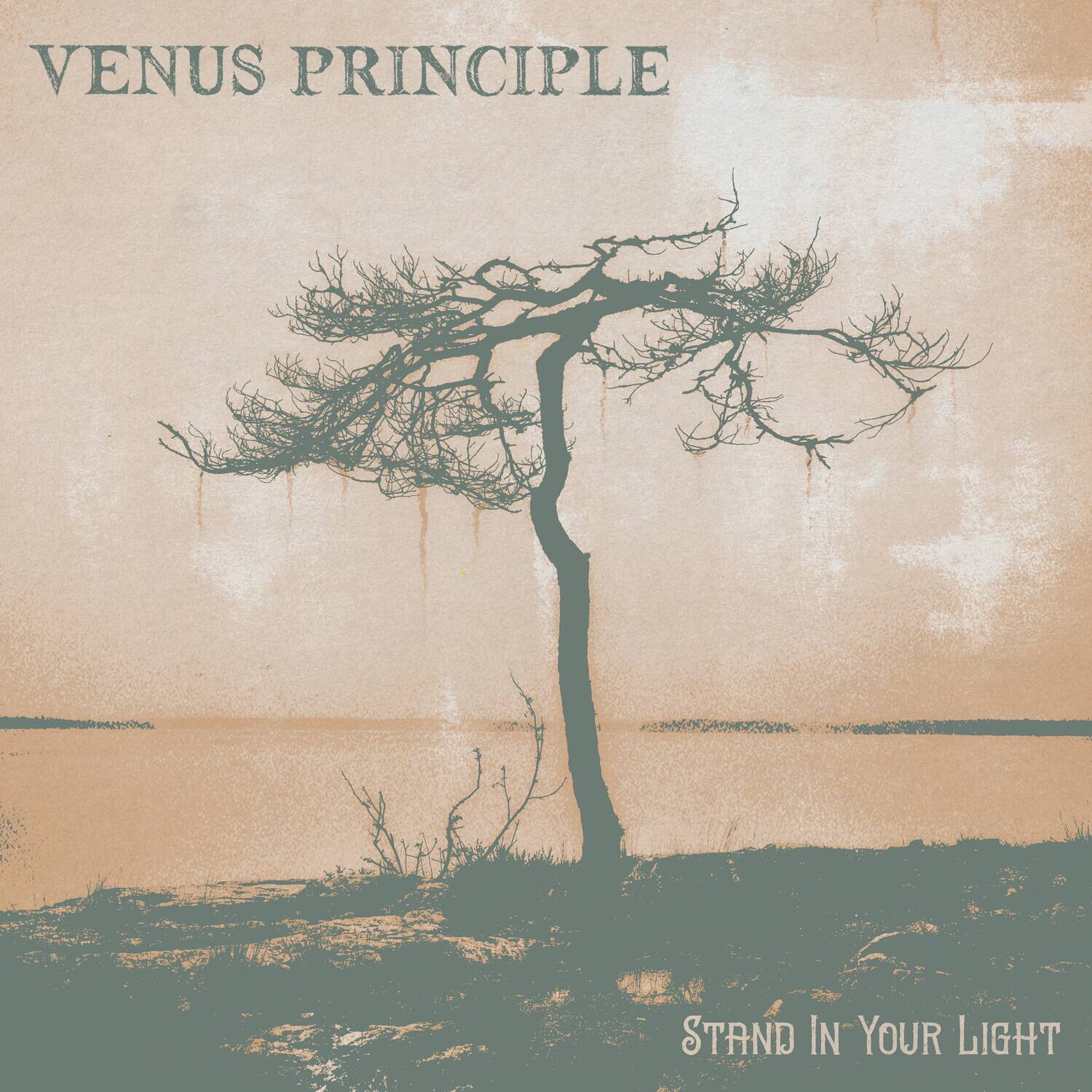 VENUS PRINCIPLE

STAND IN YOUR LIGHT