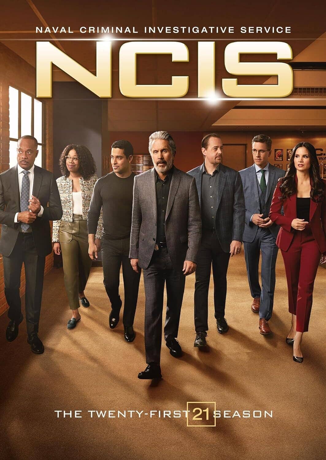NCIS: Naval Criminal Investigative Service: The Twenty-First Season  - DVD