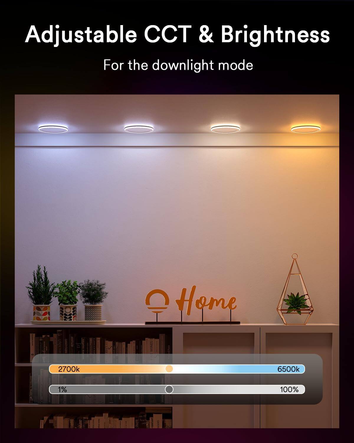 Adjustable CCT & Brightness  
For the downlight mode  
CI Home  
2700k 6500k  
1% 100%