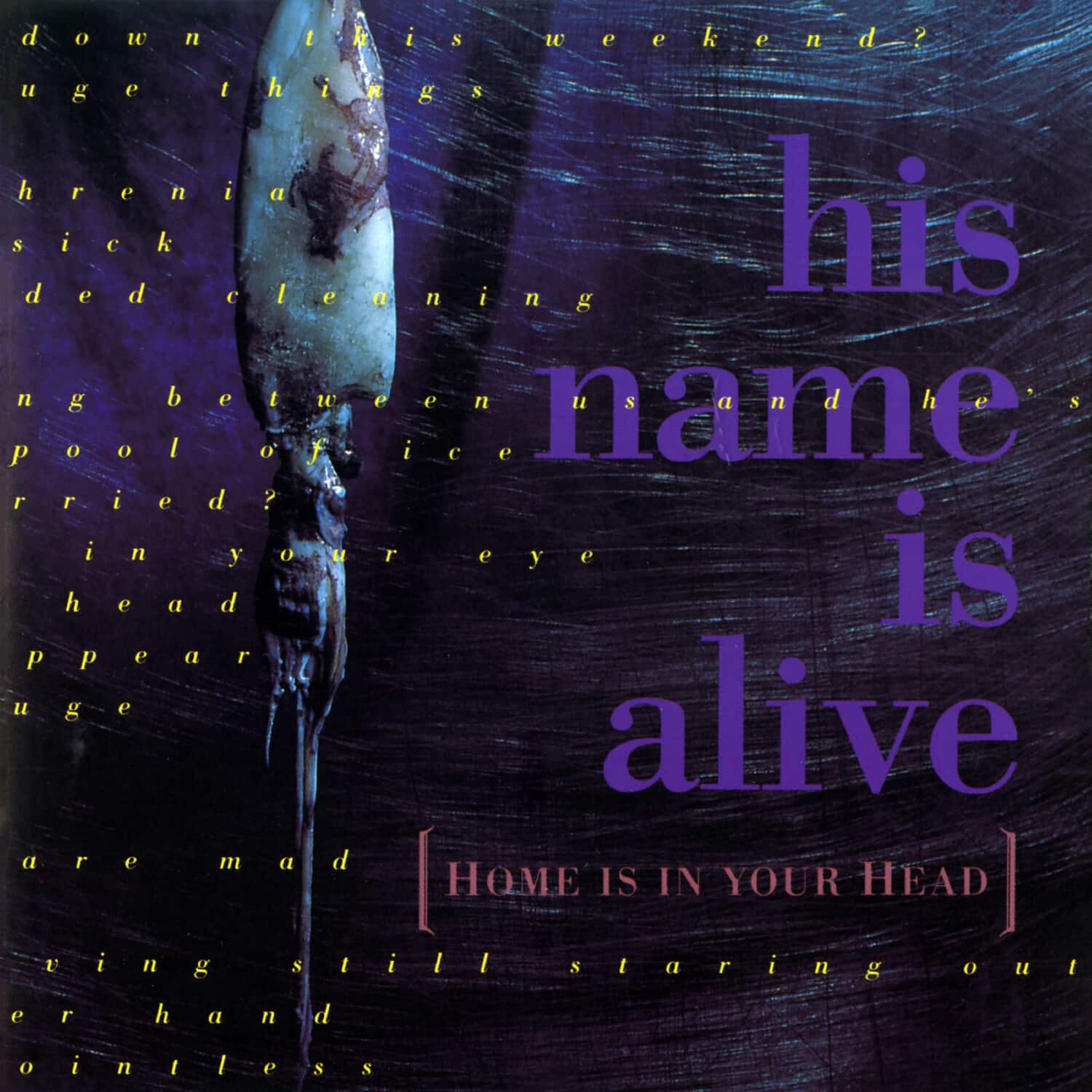 His Name Is Alive - Home Is In Your Head   - COMPACT DISCS [CD] price history on PriceWatchPro