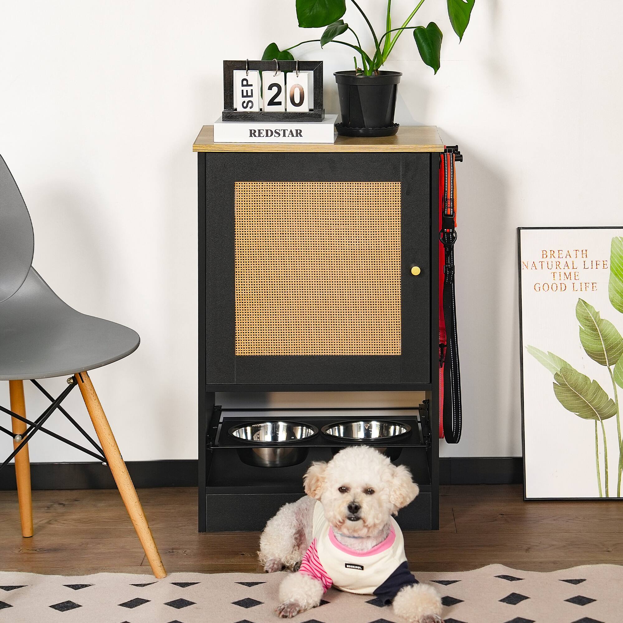 SEP 20  
REDSTAR  
BREATH NATURAL LIFE TIME GOOD LIFE