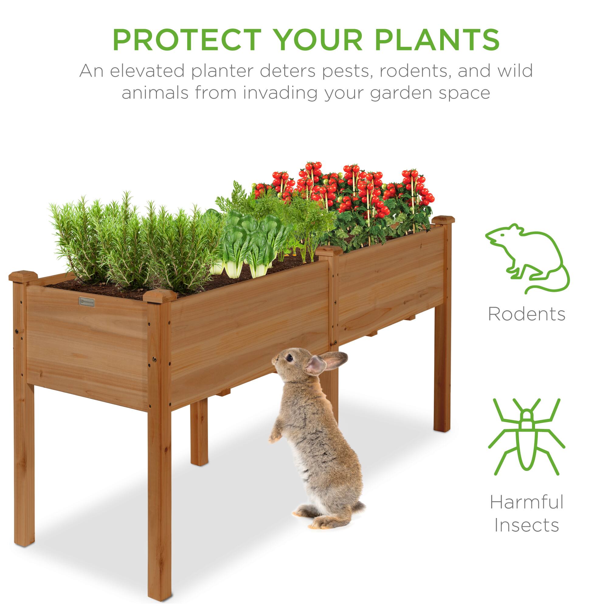 PROTECT YOUR PLANTS

An elevated planter deters pests, rodents, and wild animals from invading your garden space

Rodents

Harmful Insects