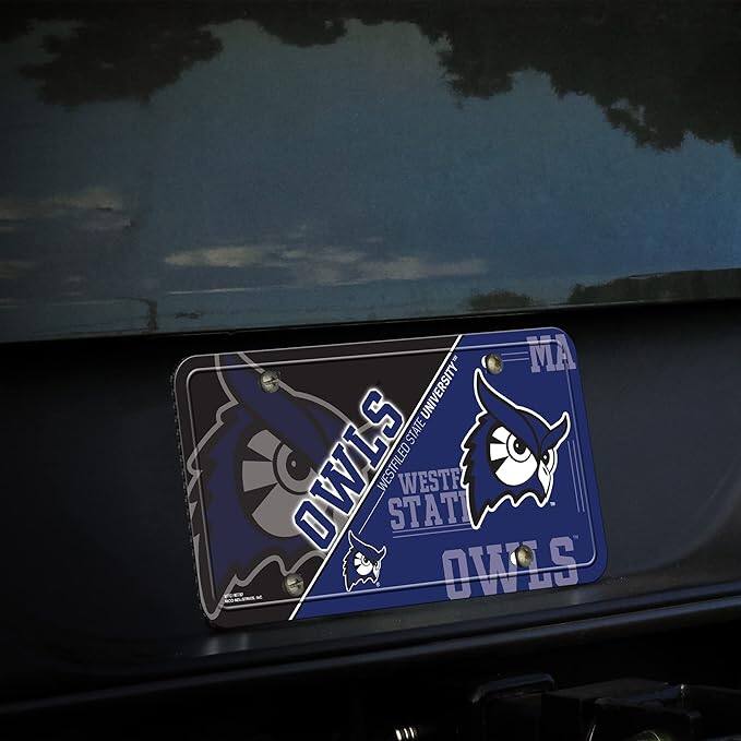 MA  
WESTFIELD STATE UNIVERSITY  
WESTFIELD STATE  
OWLS  
OWLS