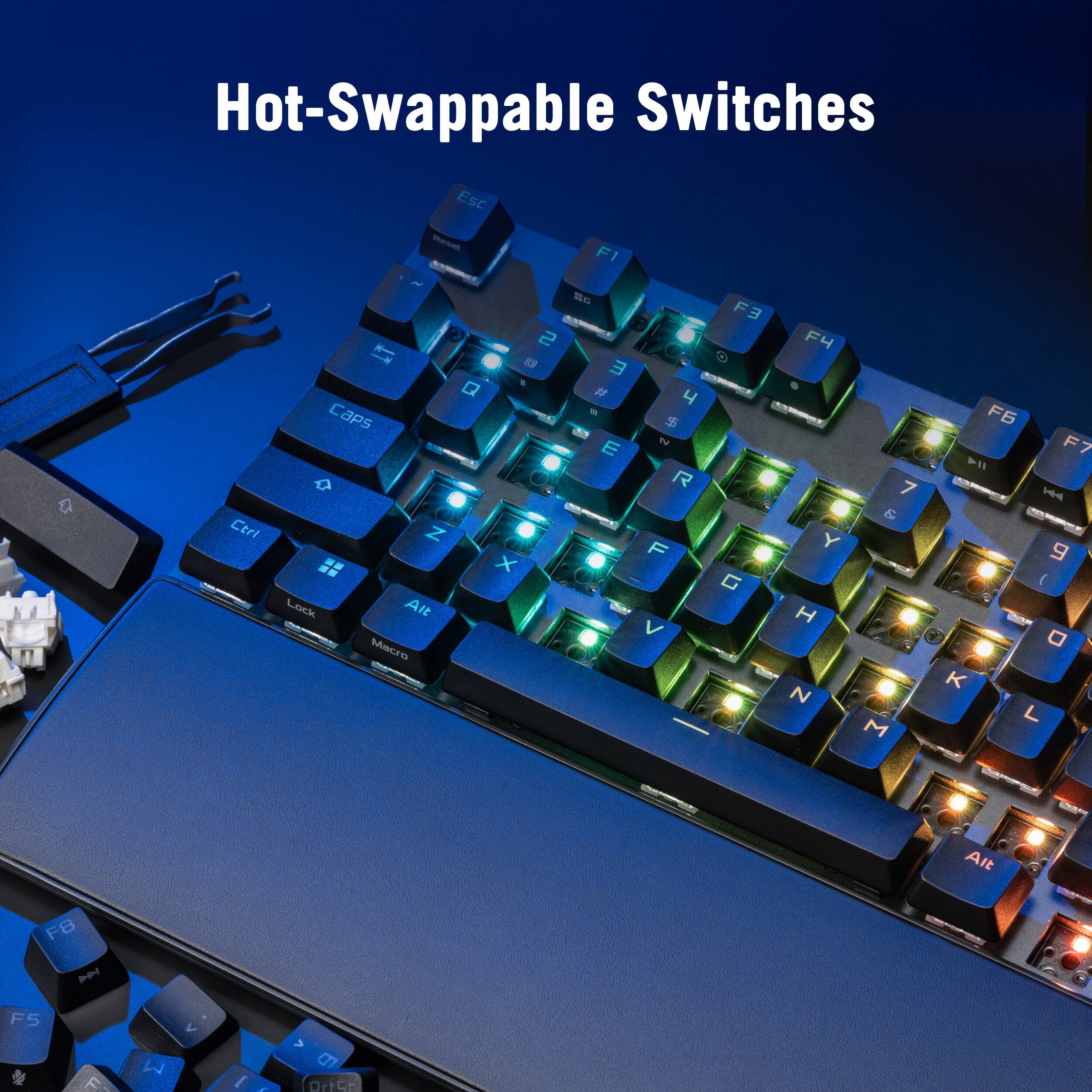 Hot-Swappable Switches Esc a Ctrl - 2 L1 Q Ctrl Alt MNca n F1  F3 E A 1 - 9 ( K L Alt FB P F5 F6 F7 1 - 9 ( K L Alt FB P F5 F6 F7)