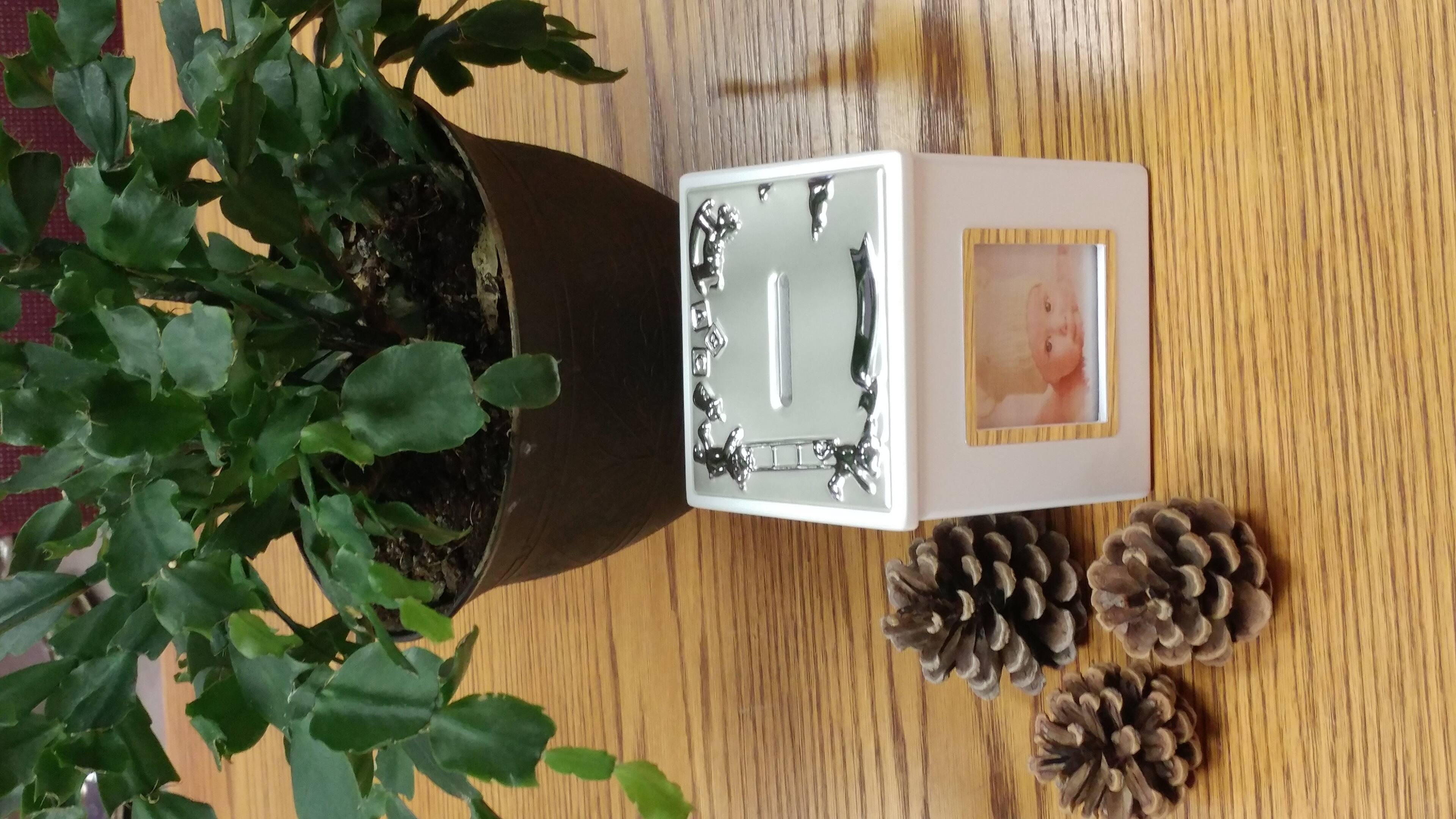 Left. Jiallo - Photo Block Money Bank - Silver, Multi Color.