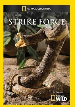 Strike Force - DVD