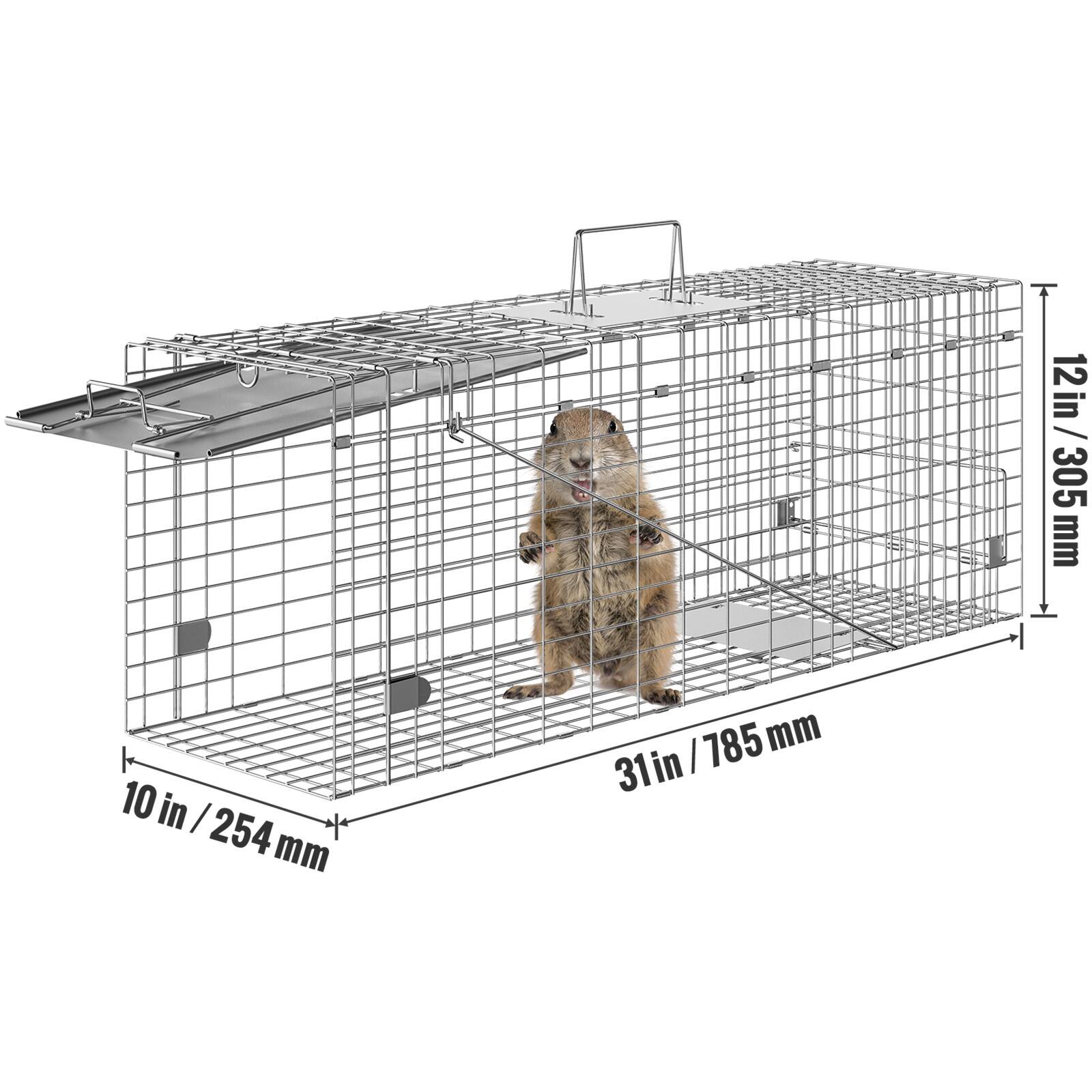 The dimensions of the cage are:

- Height: 12 in / 305 mm
- Width: 10 in / 254 mm
- Length: 31 in / 785 mm