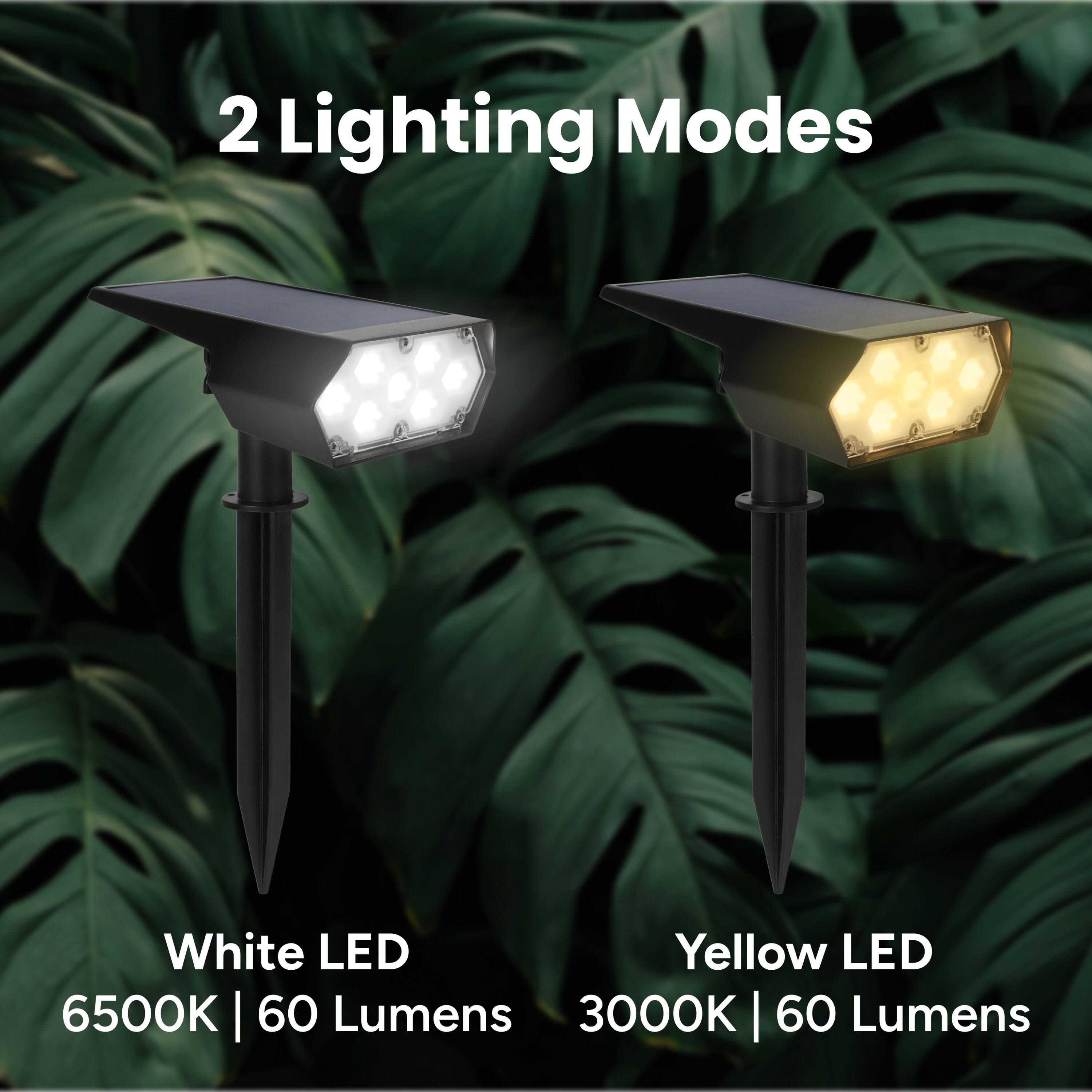 2 Lighting Modes
White LED 6500K | 60 Lumens
Yellow LED 3000K | 60 Lumens