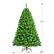 The text on the image reads "6.5ft 3.8ft," which means the tree is 6.5 feet tall and 3.8 feet wide.