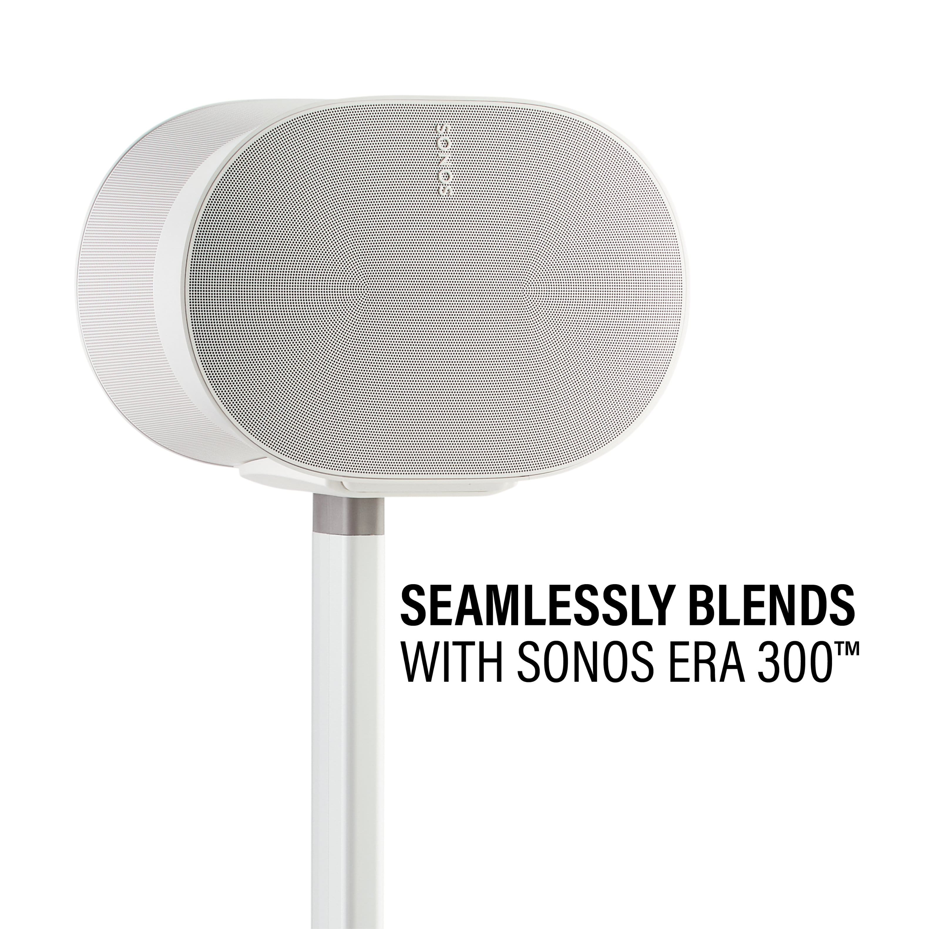 Seamlessly Blends with Sonos Era 300.