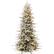 Front. Best Choice Products - Best Choice Products 9ft Pre-Lit Flocked Artificial Aspen Noble Fir Christmas Tree w/3,088 Branch Tips, 600 LED Lights - Flocked Green.