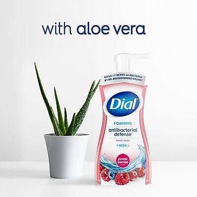 with aloe vera

Dial
FOAMING antibacterial defense
HAND WASH
with aloe vera & berries

KILLS 99.99% OF BACTERIA
RECOMMENDED #1 DR BRAND

power berries