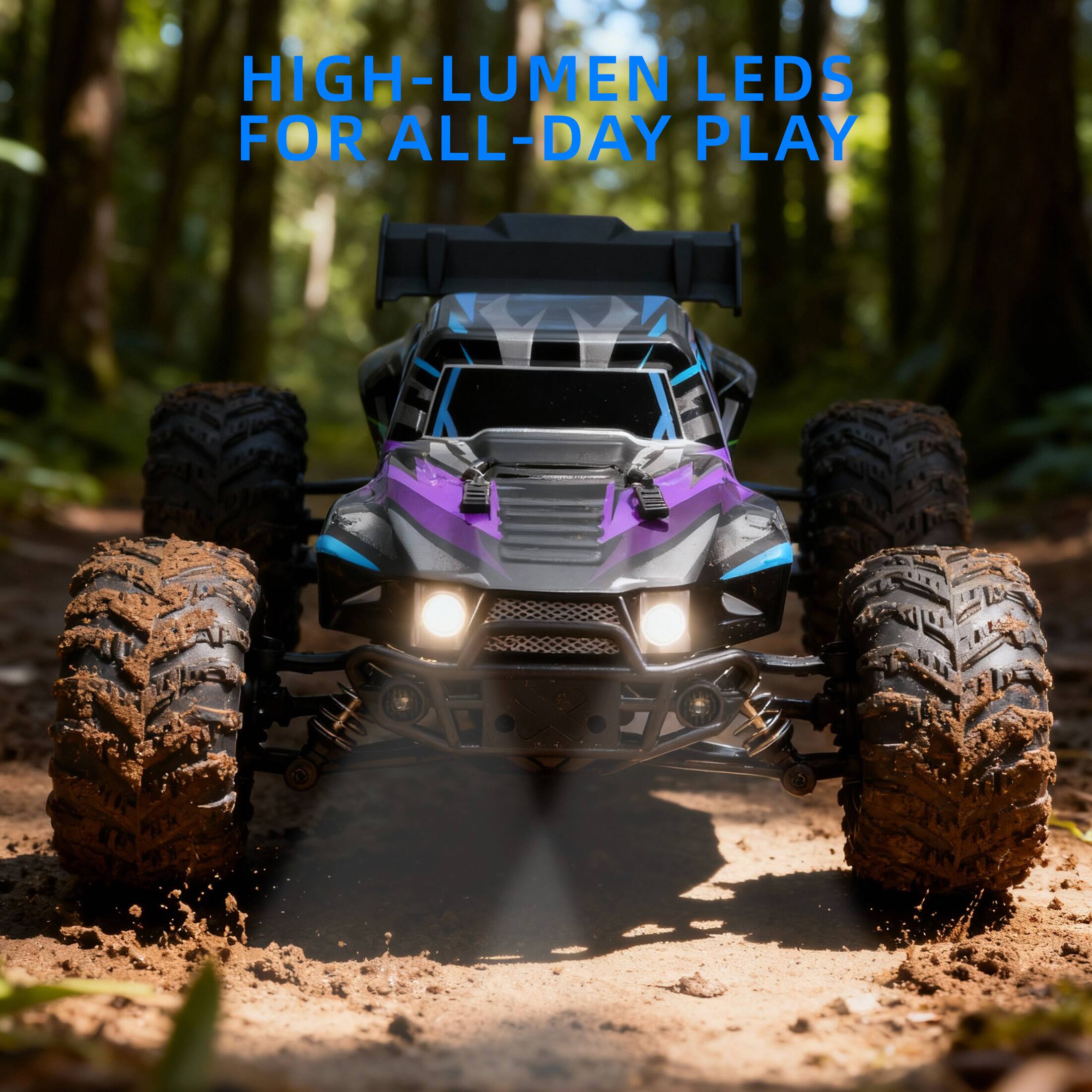 Sugift 1:16 Scale 4WD High Speed RC Car with LED Lights and Metal