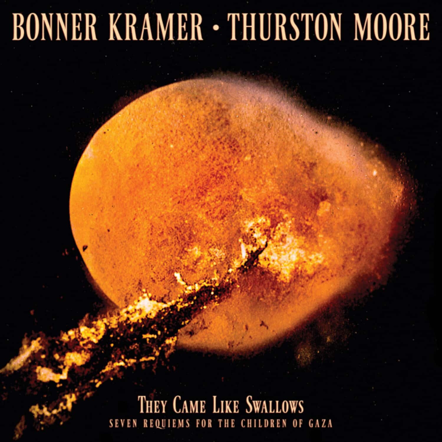 Bonner Kramer - They Came Like Swallows - Seven Requiems for the Children of Gaza   - COMPACT DISCS [CD] price history on PriceWatchPro