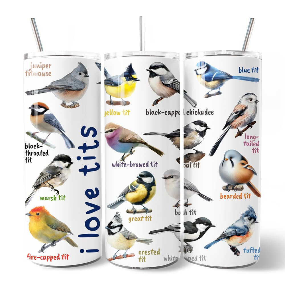 OrnamentallyYou - Whimsical Bird Tit 20oz Tumbler With Lid and Stainless Steel Straw - Multicolored
