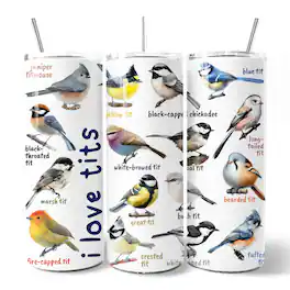 OrnamentallyYou - Whimsical Bird Tit 20oz Tumbler With Lid and Stainless Steel Straw - Multicolored