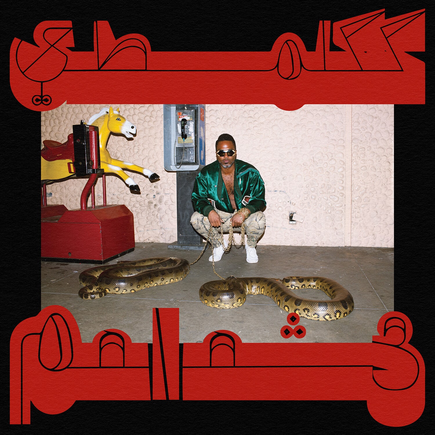Shabazz Palaces - Robed in Rareness  - VINYL LP