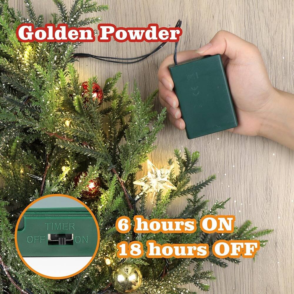 Golden Powder

TIMER OFF L III ON

6 hours ON
18 hours OFF