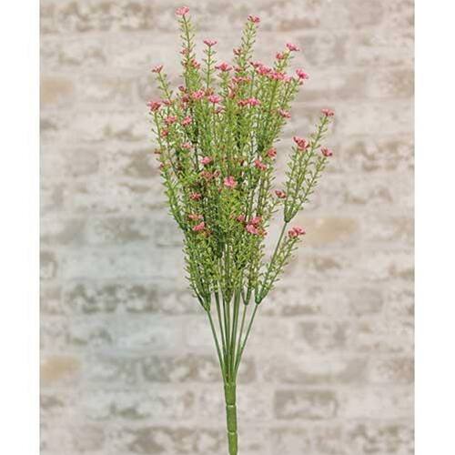 Front. BreeBe - Pink Astilbe Bush 20" - Multi.