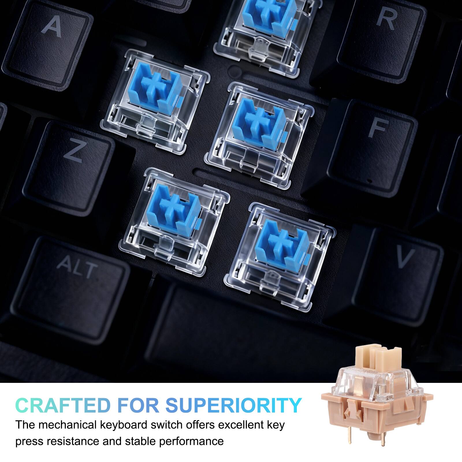 A Z T R F ALT V  
CRAFTED FOR SUPERIORITY  
The mechanical keyboard switch offers excellent key press resistance and stable performance