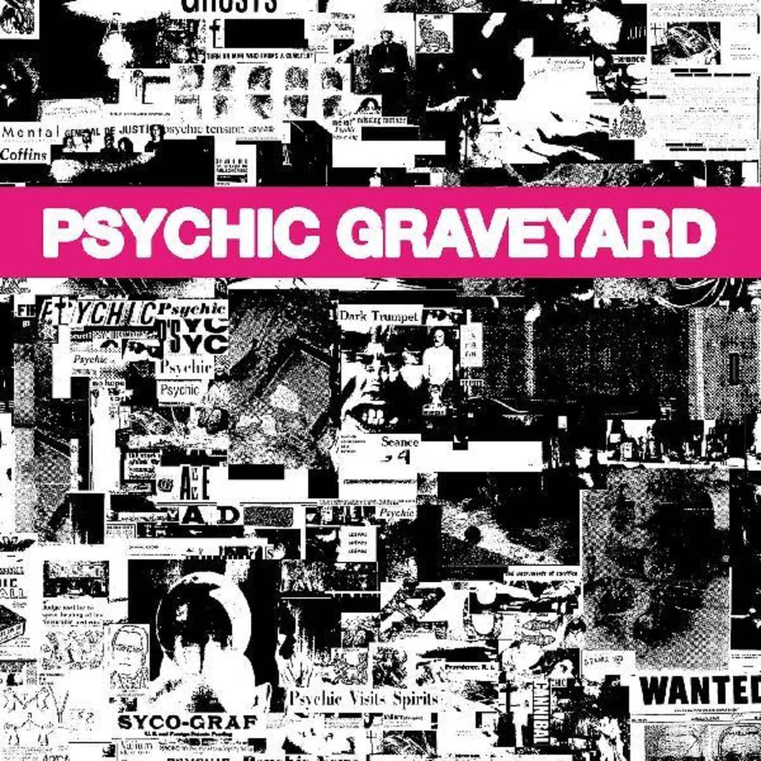 Psychic Graveyard & USA Nails - Next World   - COMPACT DISCS [CD] price history on PriceWatchPro