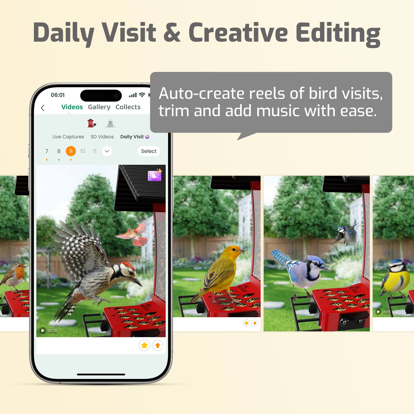 Daily Visit & Creative Editing

Auto-create reels of bird visits, trim and add music with ease.

Live Captures SD Videos Daily Visit

Select 00:35