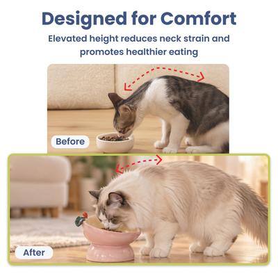 Designed for Comfort  
Elevated height reduces neck strain and promotes healthier eating  

Before  
After