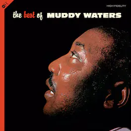 Muddy Waters - Best Of Muddy Waters - VINYL LP