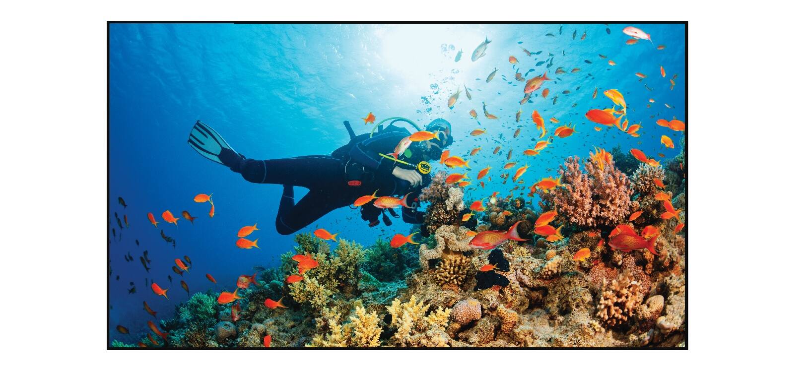 Alt View 11. Screen Innovations - Zero Edge – 16:9 – 120” – Black Diamond 1.4 Gain Ambient Light Rejecting (ALR) Projector Screen - Black.