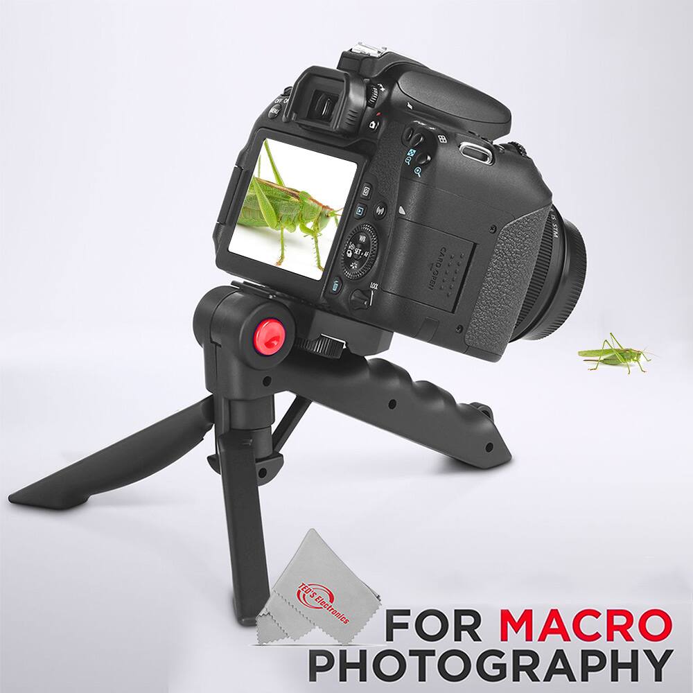 Sure, here is the corrected and grouped text from the image:

---

**SSD - CARDOPEN 2.121**

**TED'S Electronics FOR MACRO PHOTOGRAPHY**

---