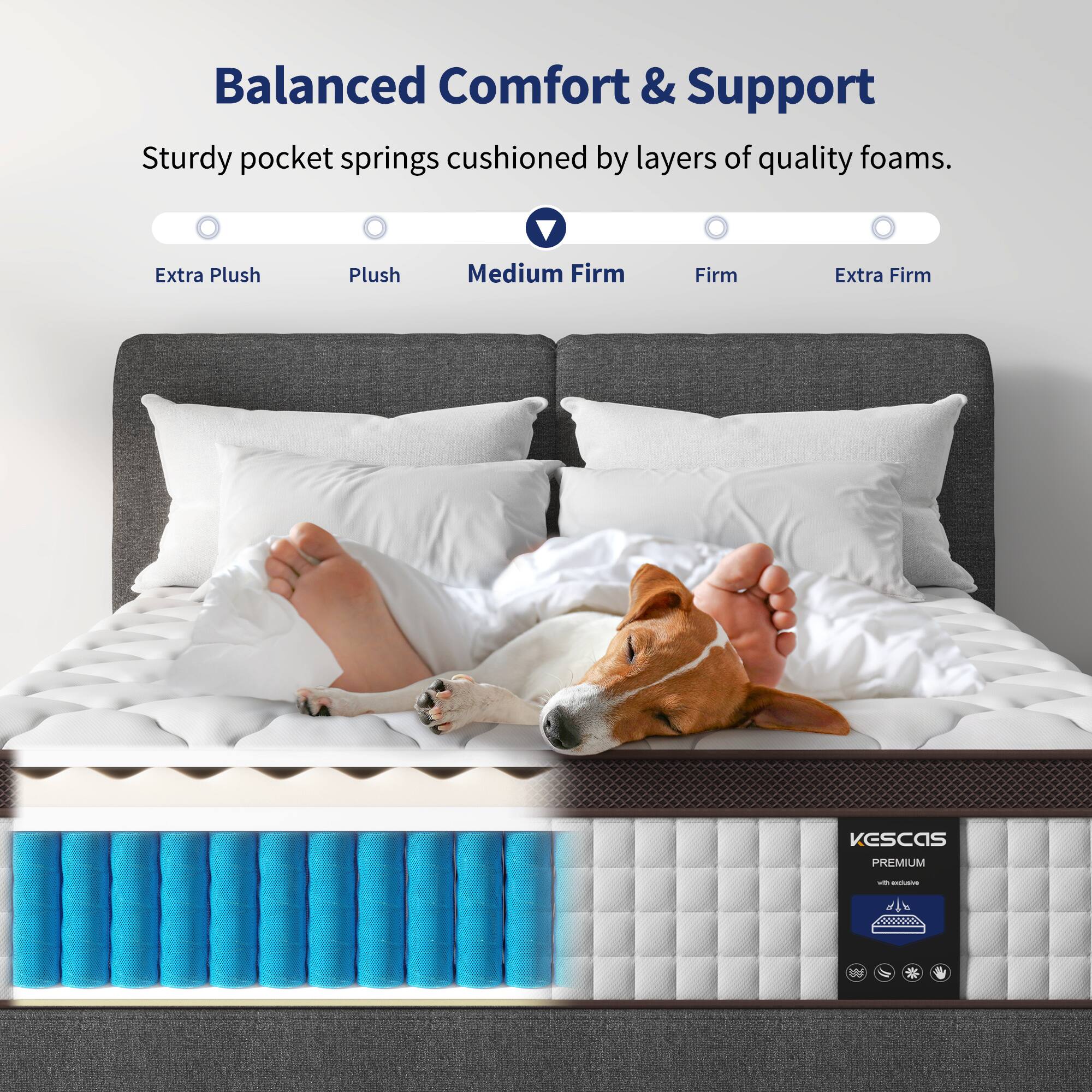 Balanced Comfort & Support: Sturdy pocket springs cushioned by layers of quality foams.

Extra Plush | Plush | Medium Firm | Firm | Extra Firm

VESCaS PREMIUM