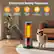 Enhanced Safety Features
- Tip-over Protection
- Overheat Protection
- Anti-tip Base
- ETL Certification
- Safety Plug